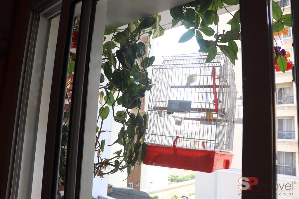 Apartamento, 2 quartos, 62 m² - Foto 9